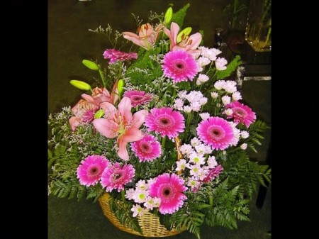 WE prepared materials about wedding bouquets with gerber daisies 